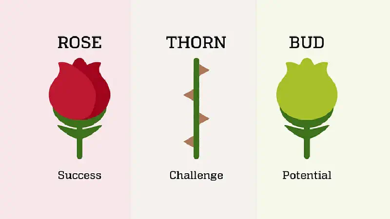 Rose, Thorn, Bud quick reference